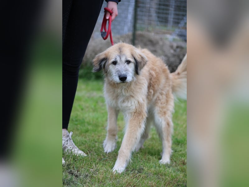 Eva - Voller Tatendrang in eine gute Zukunft