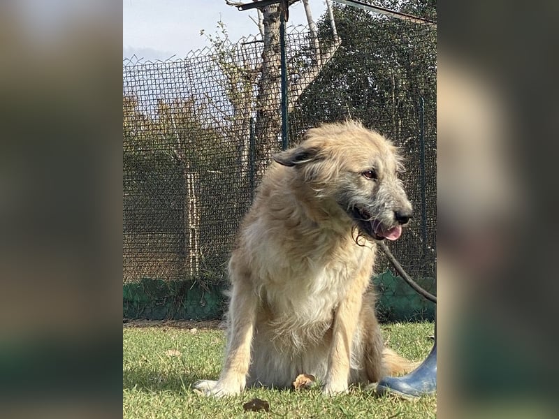 Eva - Voller Tatendrang in eine gute Zukunft