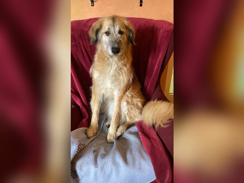 Eva - Voller Tatendrang in eine gute Zukunft