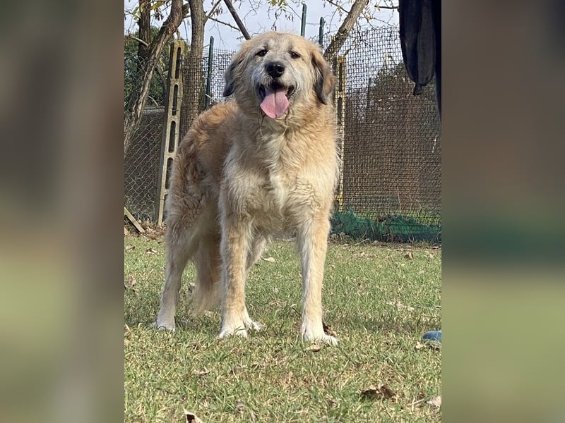 Eva - Voller Tatendrang in eine gute Zukunft