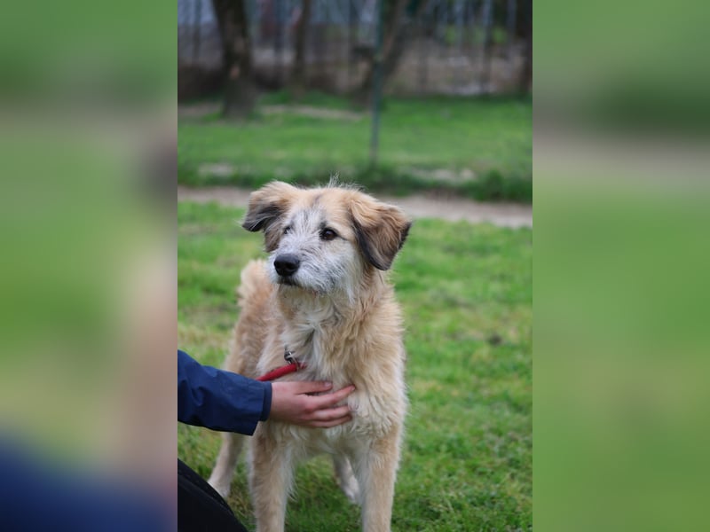 Eva - Voller Tatendrang in eine gute Zukunft