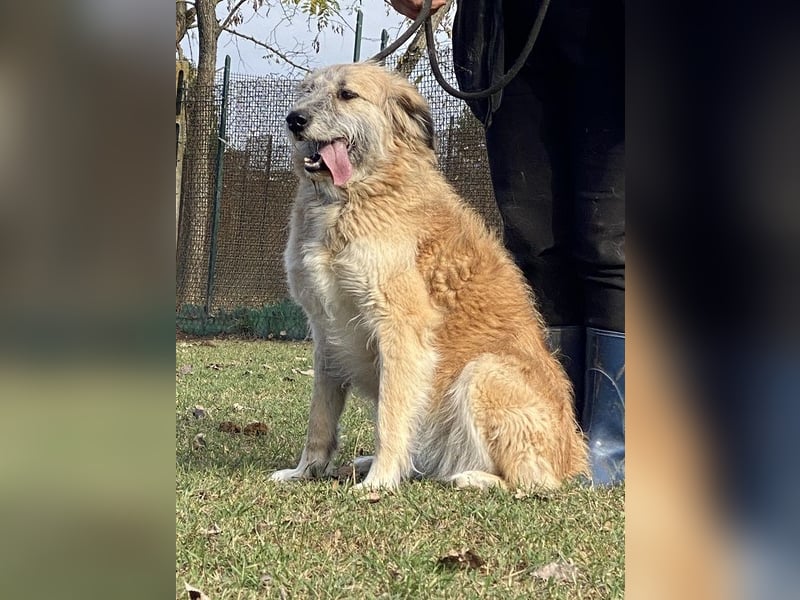 Eva - Voller Tatendrang in eine gute Zukunft