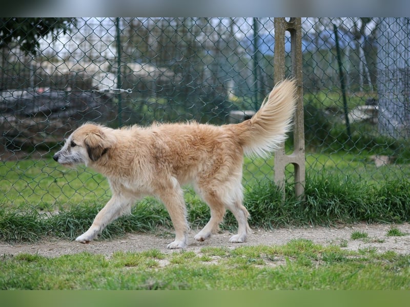 Eva - Voller Tatendrang in eine gute Zukunft