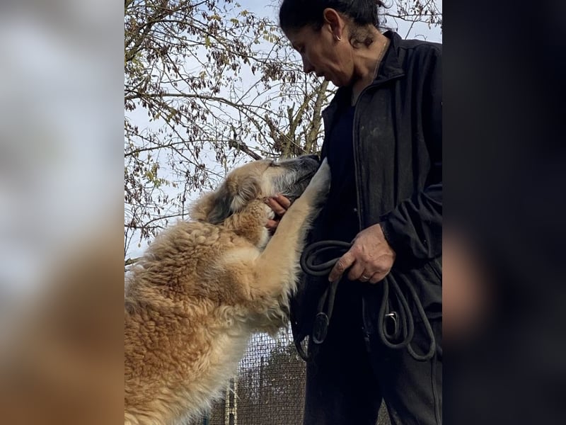 Eva - Die Zeiten ändern sich