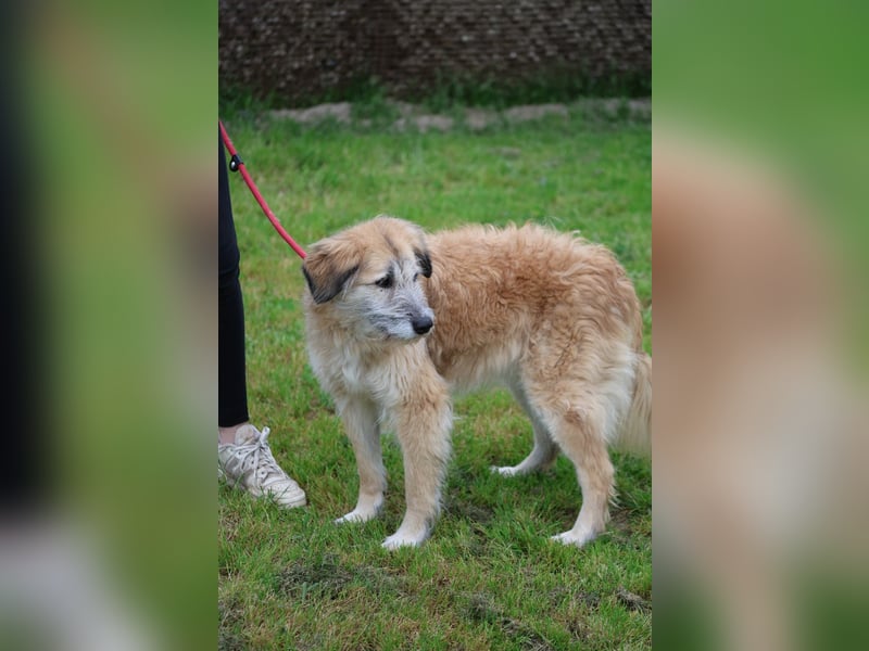 Eva - Voller Tatendrang in eine gute Zukunft