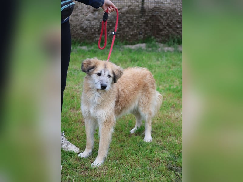 Eva - Voller Tatendrang in eine gute Zukunft