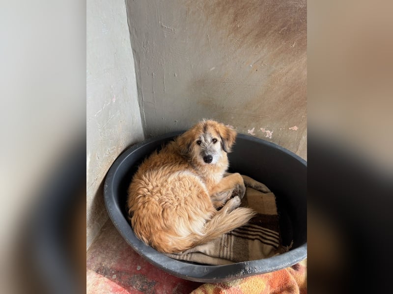 Eva - Voller Tatendrang in eine gute Zukunft