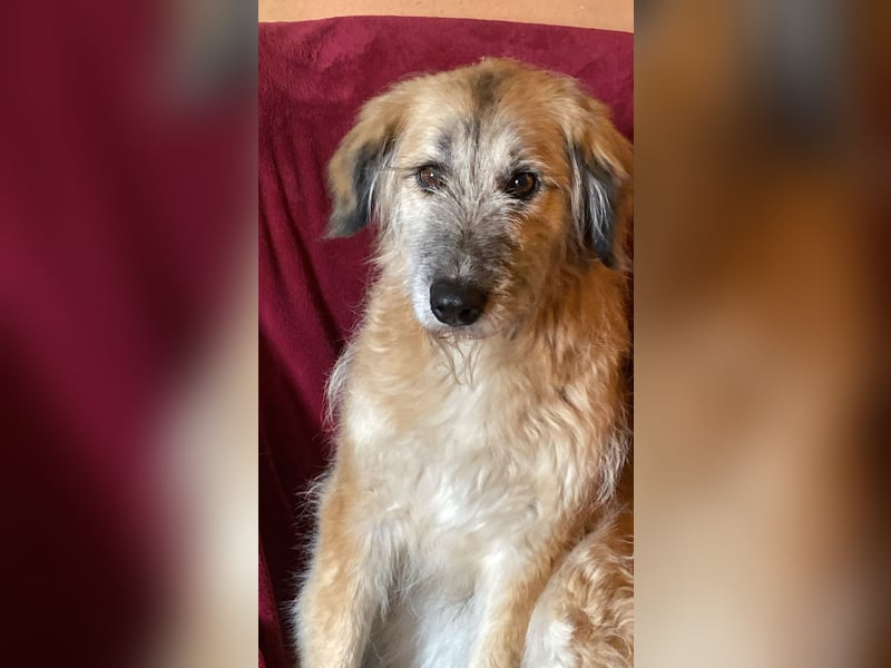 Eva - Voller Tatendrang in eine gute Zukunft