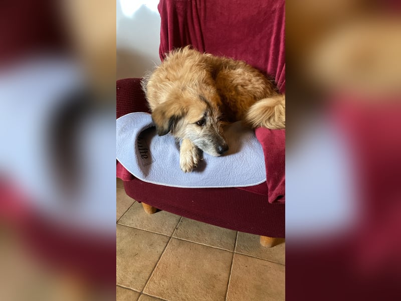 Eva - Voller Tatendrang in eine gute Zukunft