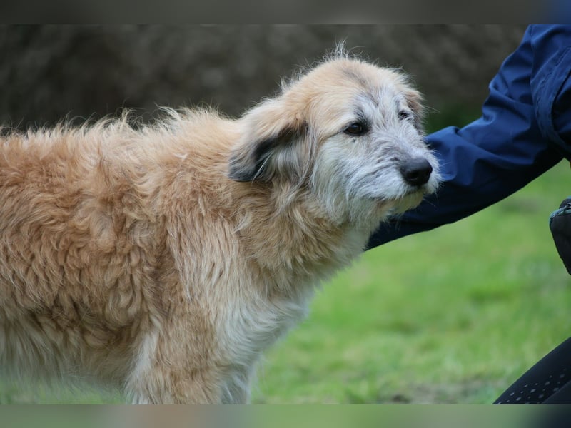 Eva - Voller Tatendrang in eine gute Zukunft