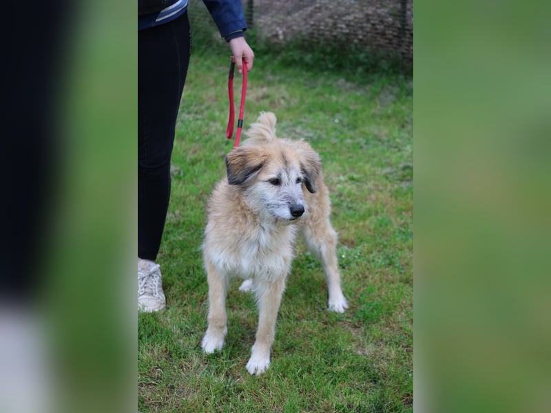 Eva - Voller Tatendrang in eine gute Zukunft