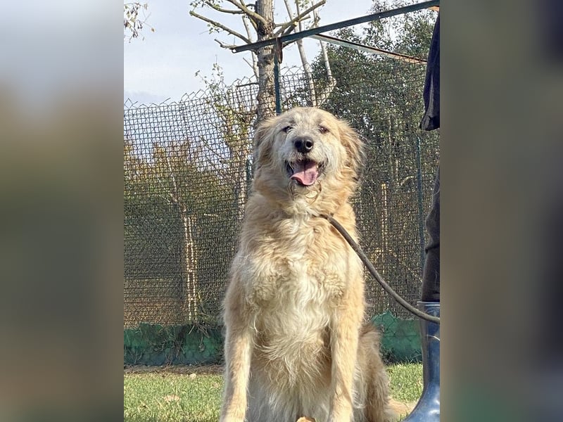 Eva - Voller Tatendrang in eine gute Zukunft