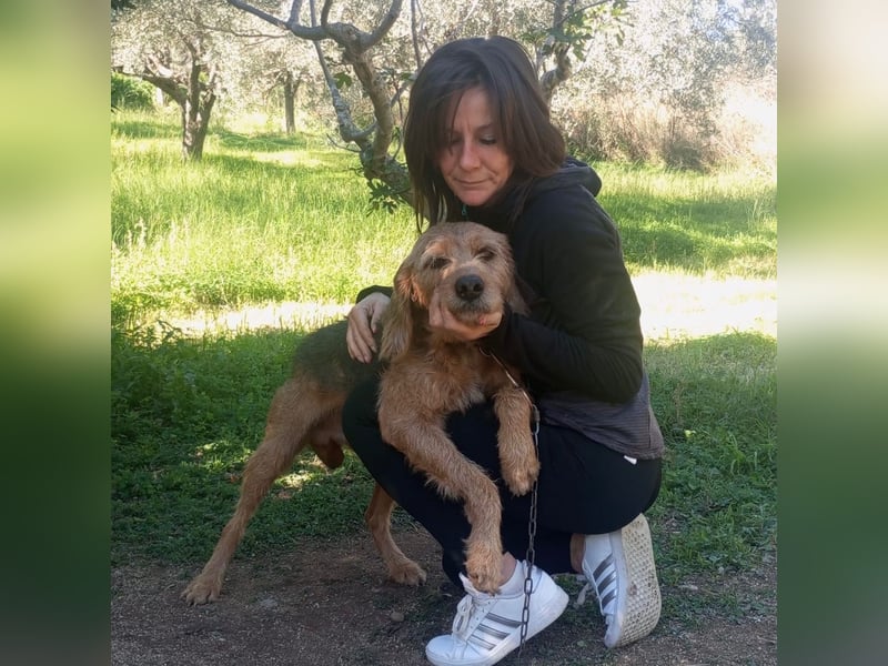 Rocky - endlich von der Kette befreit, möchte er jetzt bitte Familienhund werden