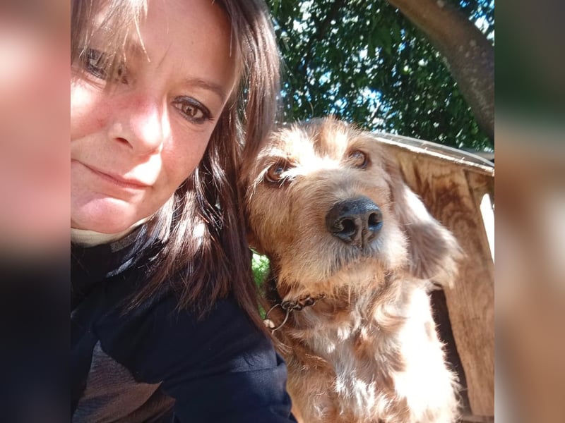 Rocky - endlich von der Kette befreit, möchte er jetzt bitte Familienhund werden