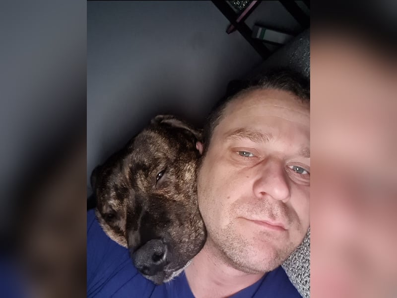 Liebevollen Staffordshire Bullterrier abzugeben