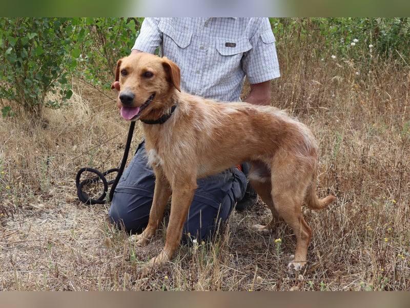 *R*I*C*O* hatte kein gutes Zuhause - das soll sich jetzt ändern !
