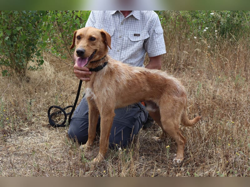 *R*I*C*O* hatte kein gutes Zuhause - das soll sich jetzt ändern !