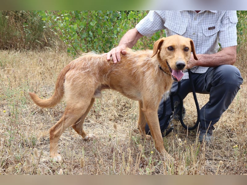*R*I*C*O* hatte kein gutes Zuhause - das soll sich jetzt ändern !