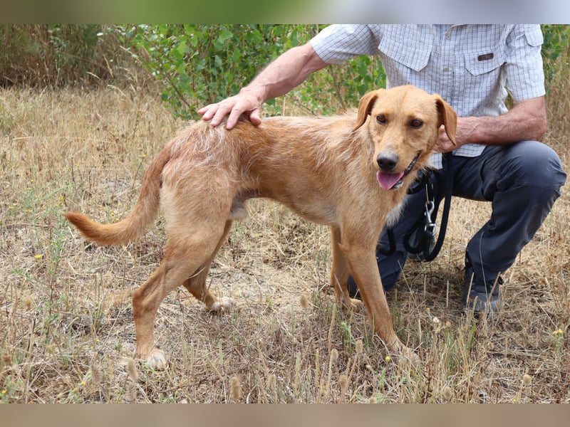 *R*I*C*O* hatte kein gutes Zuhause - das soll sich jetzt ändern !