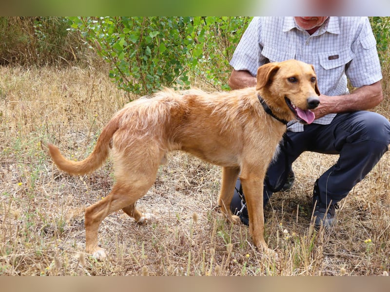 *R*I*C*O* hatte kein gutes Zuhause - das soll sich jetzt ändern !