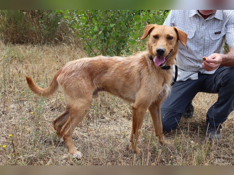 *R*I*C*O* hatte kein gutes Zuhause - das soll sich jetzt ändern !