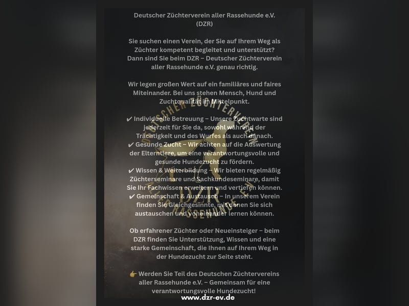 Suchst Du einen Verein?