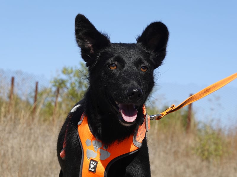 Yuna sucht ihre Familie