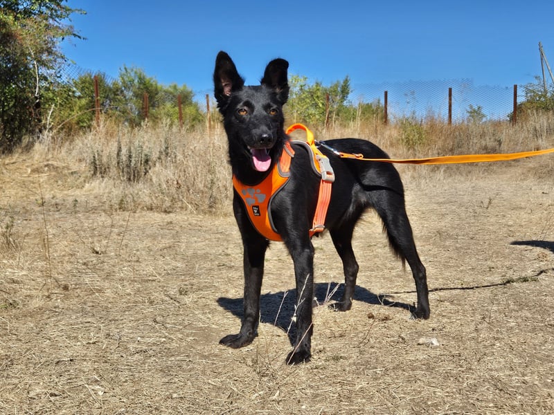 Yuna sucht ihre Familie