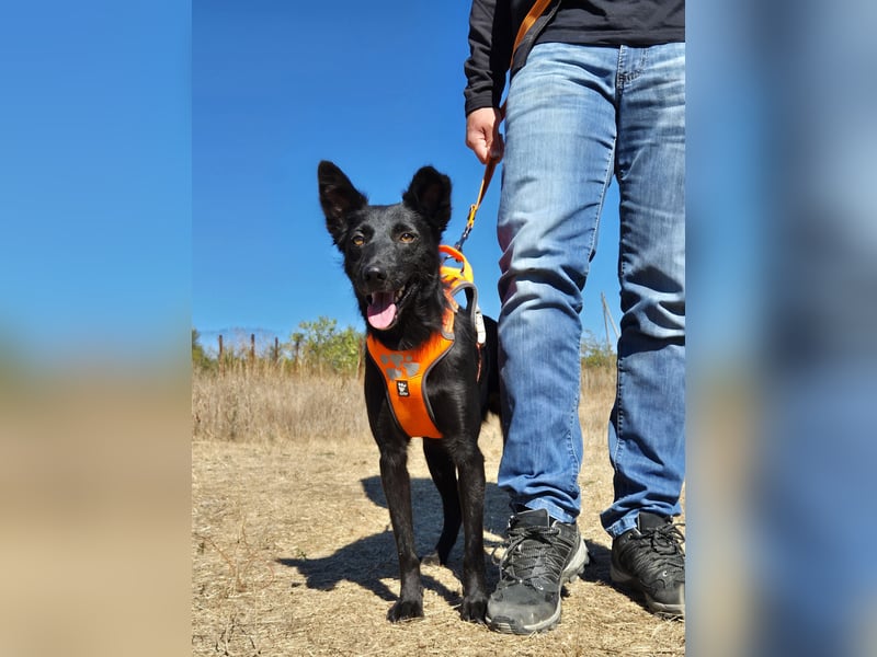 Yuna sucht ihre Familie