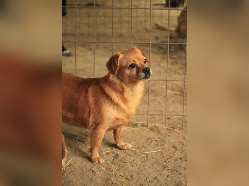 Maggie LM – vorsichtige Seele sucht sicheren Hafen