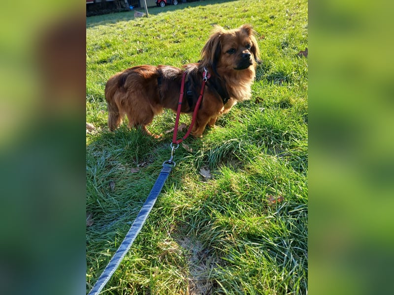 Noah - sucht erfahrene Menschen