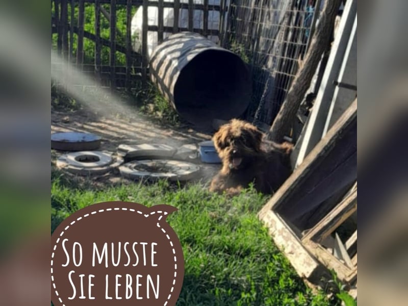 Zara ein dankbarer Schatz