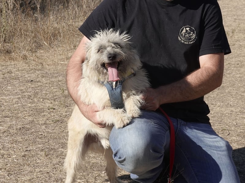 Clark sucht ein neues Zuhause