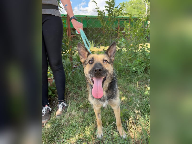 Norka möchte einfach dazugehören