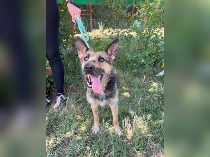 Norka möchte einfach dazugehören