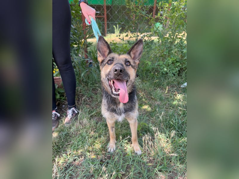 Norka möchte einfach dazugehören