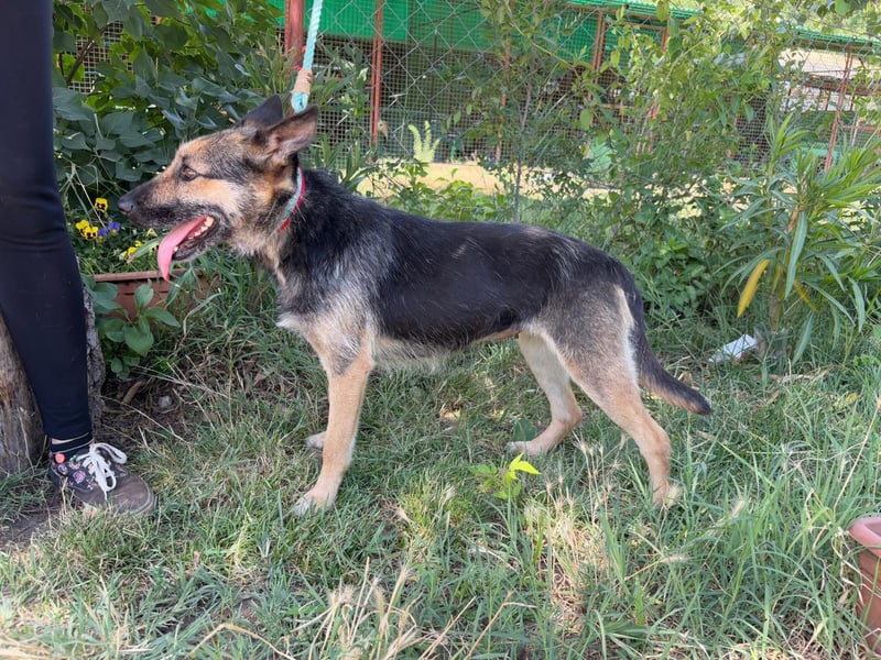 Norka möchte einfach dazugehören