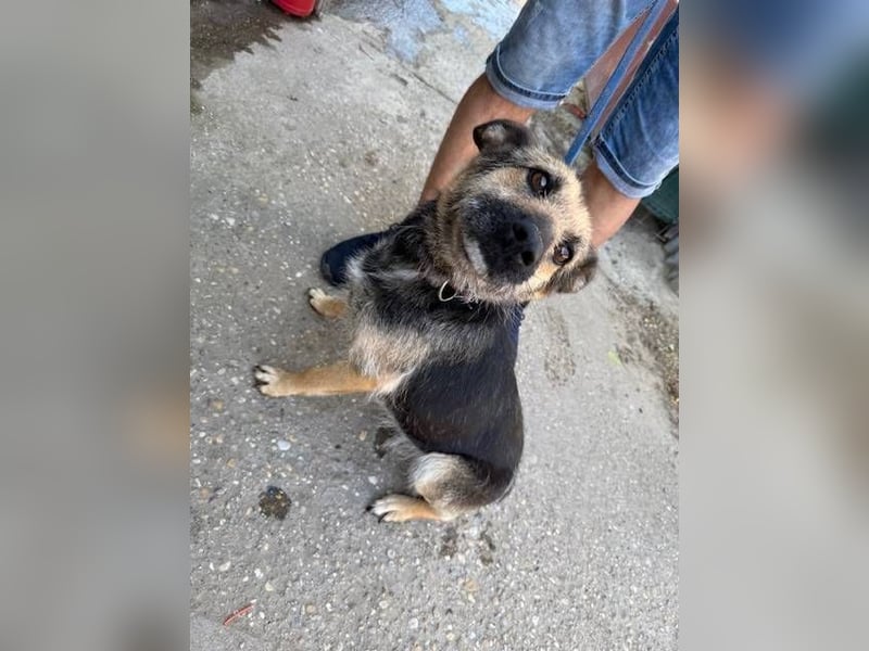 Norka möchte einfach dazugehören