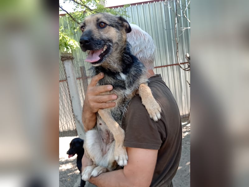 Norka möchte einfach dazugehören