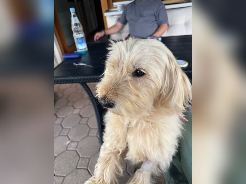 Winnie kann im Schwarzwald besucht werden