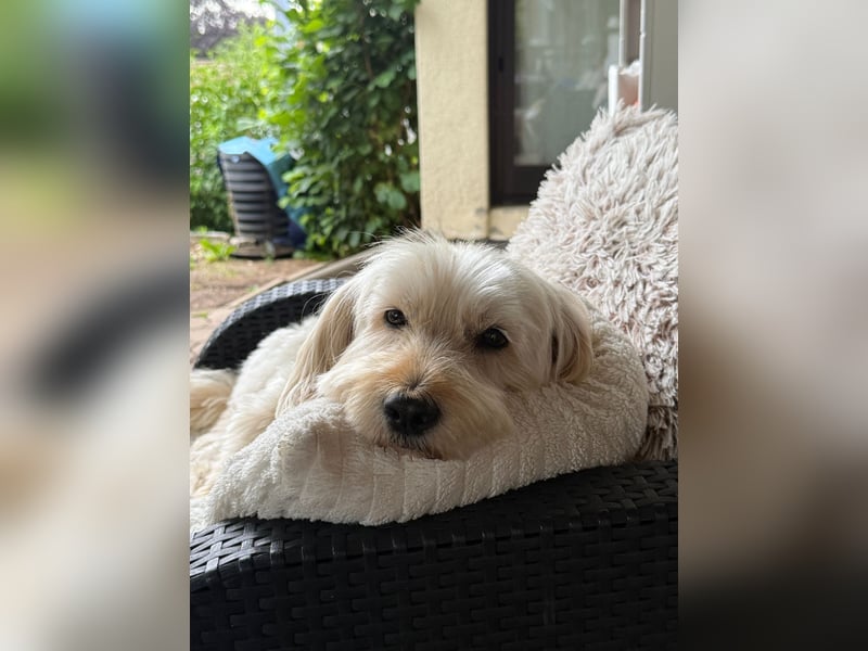 Winnie kann im Schwarzwald besucht werden