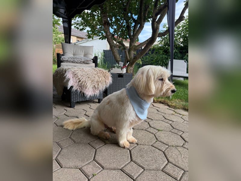 Winnie kann im Schwarzwald besucht werden