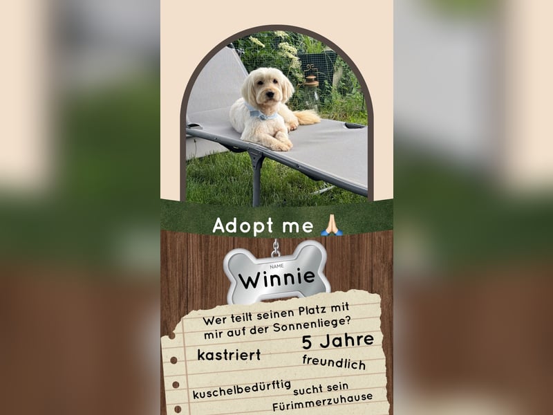 Winnie kann im Schwarzwald besucht werden