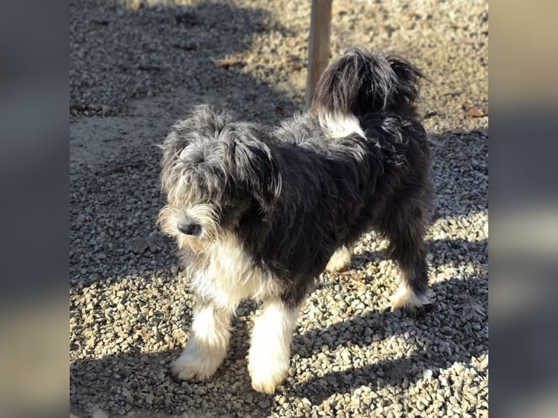 Noori sehnt sich nach einer Familie