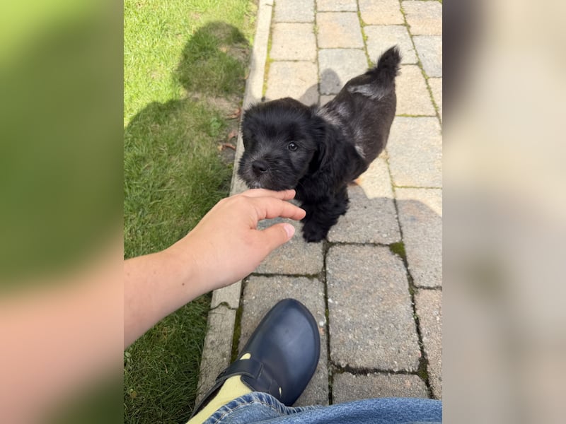 Unsere Fröhliche Bande sucht ein neues Zuhause