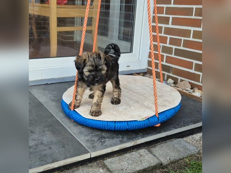 Unsere Fröhliche Bande sucht ein neues Zuhause