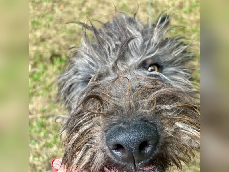 Smokey braucht Liebe