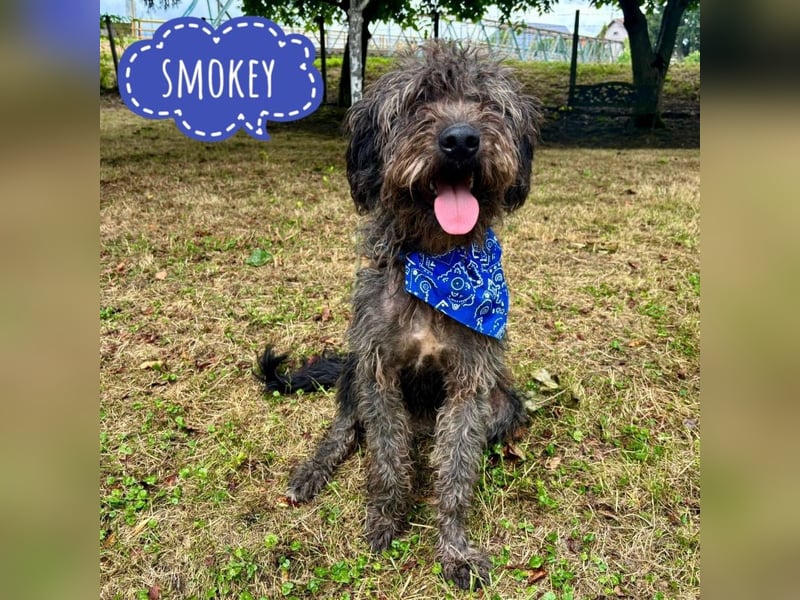 Smokey braucht Liebe