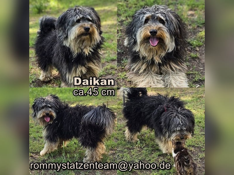 Daikan ist für jeden Spass zu haben