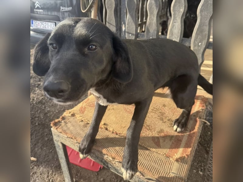 Mimi eine traurige Seele